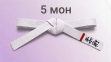 Пояс Бушинкан Дзю-дзюцу Мон (дитячий) 9