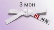 Пояс Бушинкан Дзю-дзюцу Мон (дитячий) 3