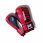Рукавички боксерські ROOMAIF Shok PRO, RGB 340 2