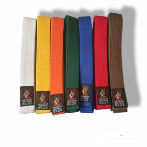 Пояс цветной WOLF  (длина 250 см)