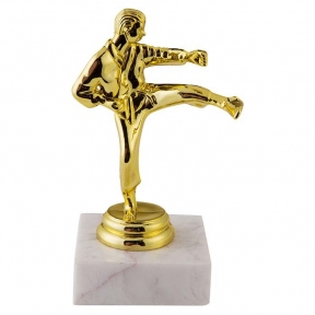 Статуэтка наградная карате. H=22.5 см. мод.814A/N11