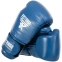 Боксерські рукавиці шкіряні FISTRAGE VL-5561
